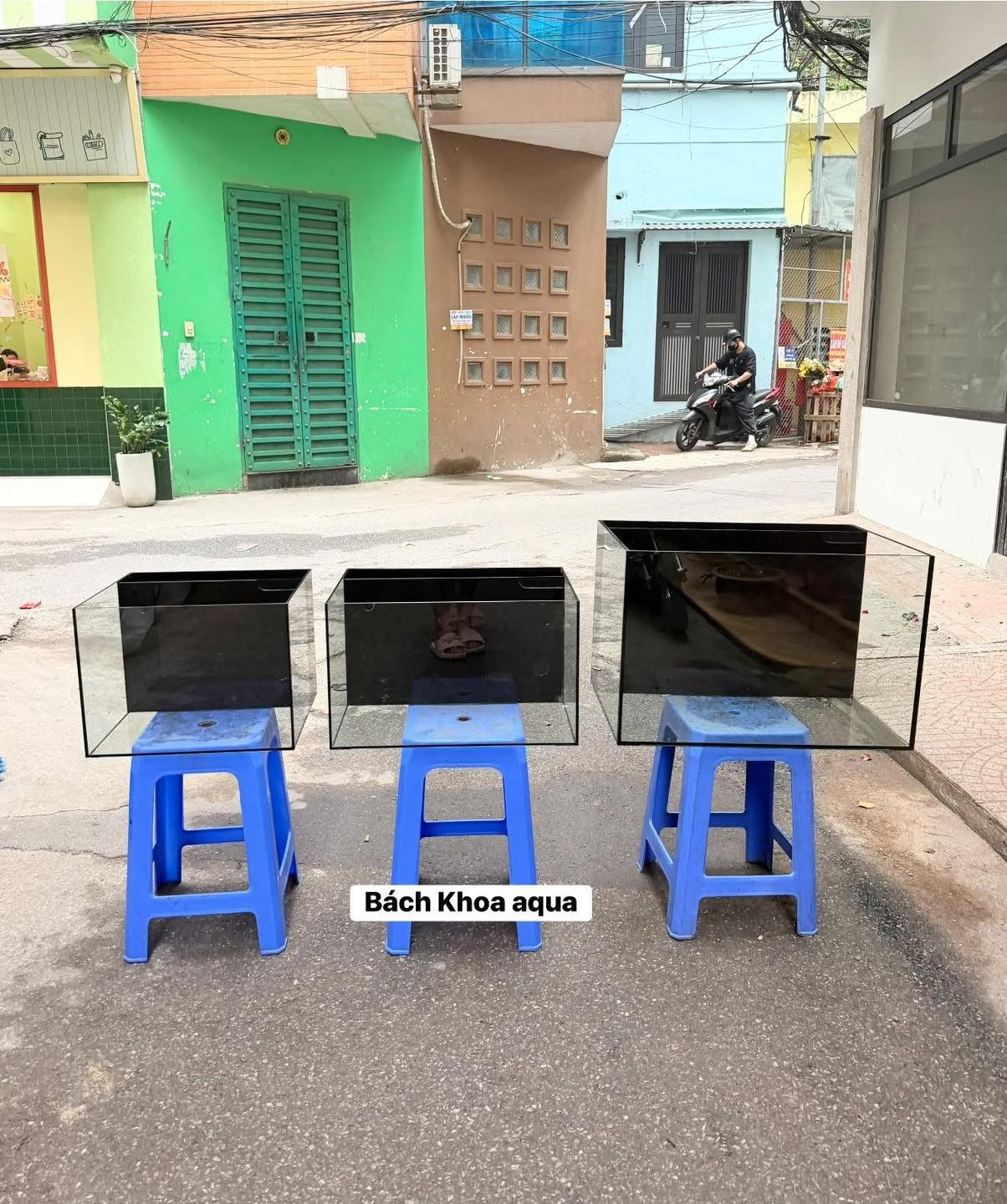 Bể lọc vách sẵn 40-50-60cm kính thường